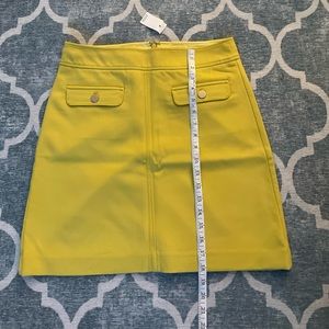 NWT Loft skirt